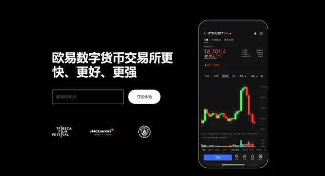 o易钱包平台展示图